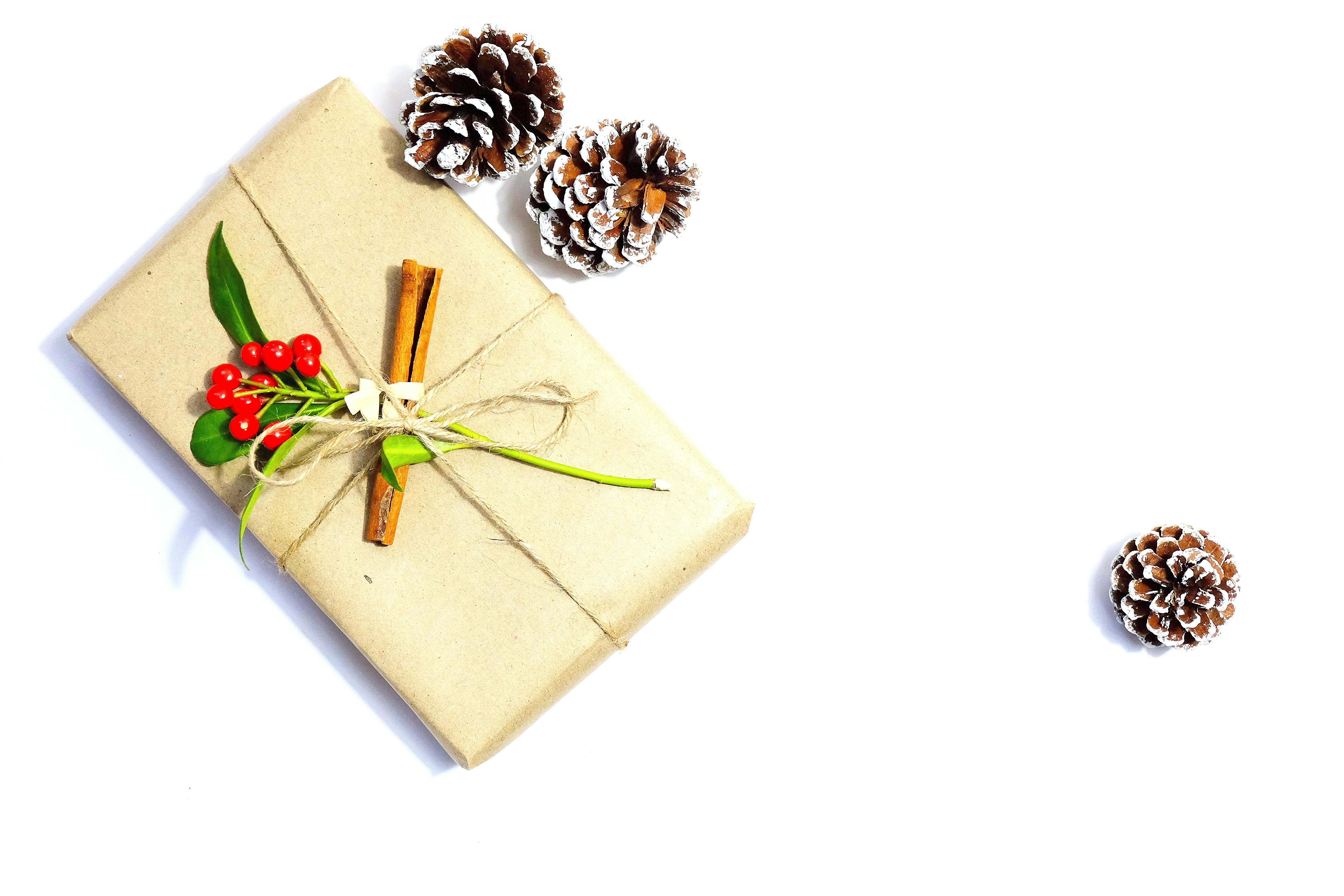Best Gift Ideas for Christmas